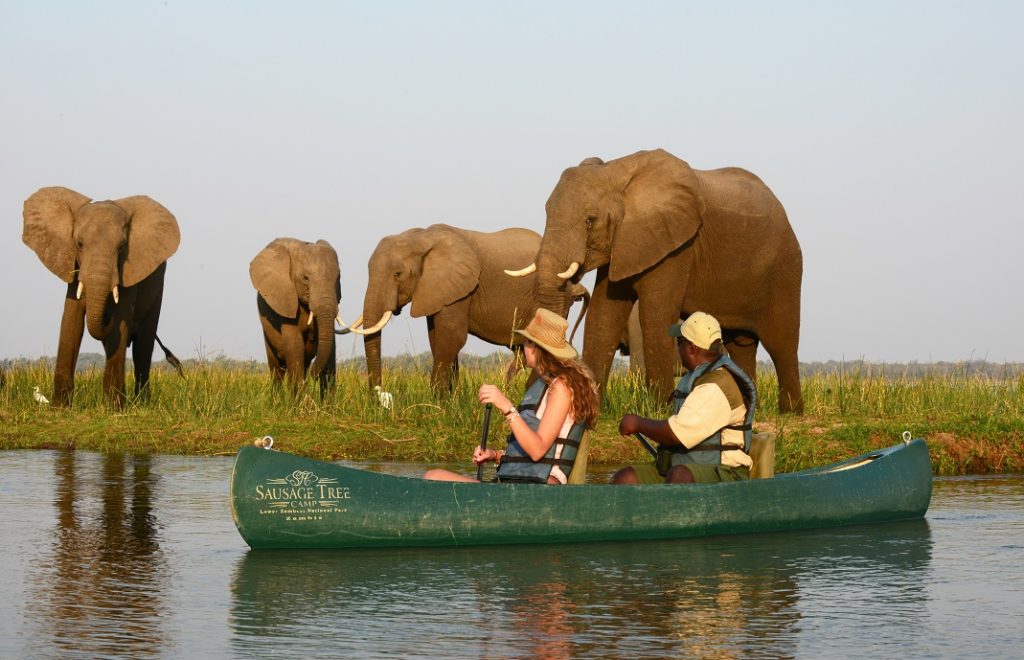 Lower Zambezi nasjonalpark_7